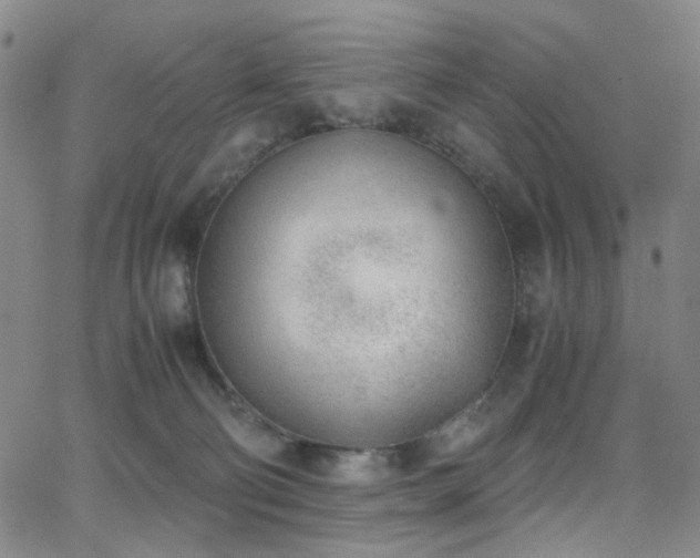 X0000062870130200601131451