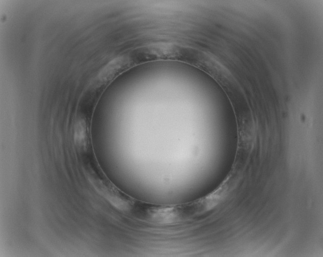 X0000062870132200601131451