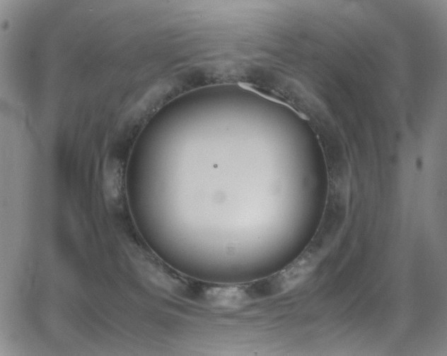 X0000062870133200601131451