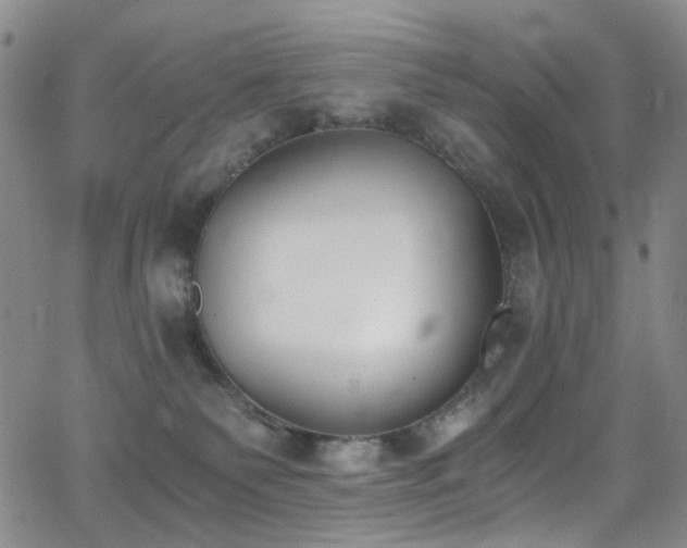 X0000062870135200601131451