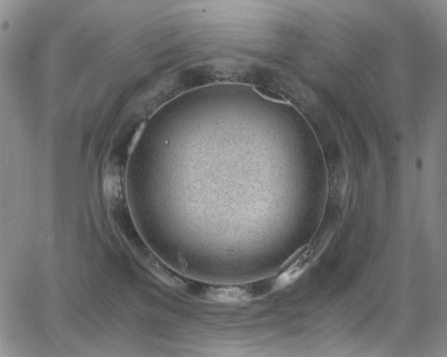 X0000062870137200601131451