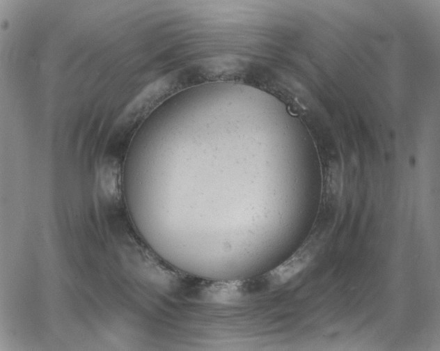 X0000062870138200601131451