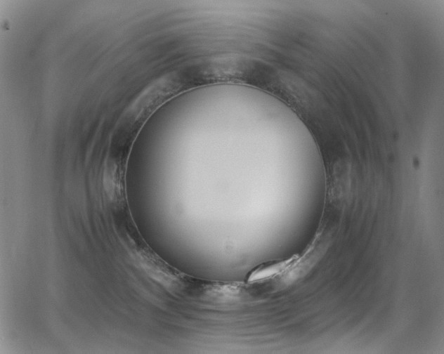 X0000062870140200601131451