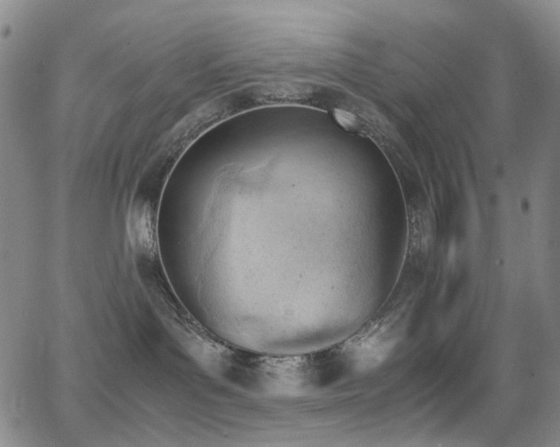 X0000062870143200601131451