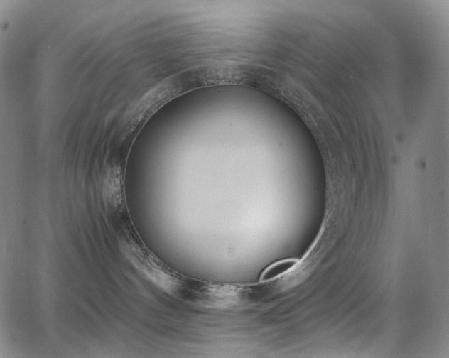 X0000062870144200601131451