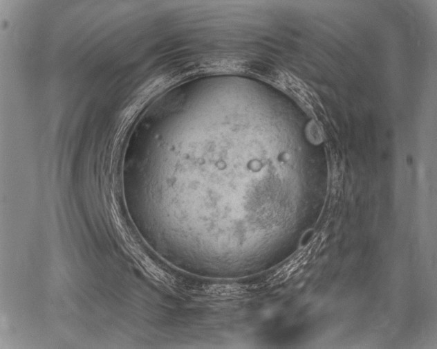 X0000062870145200601131450