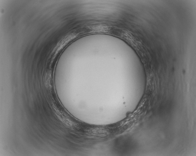 X0000062870146200601131450