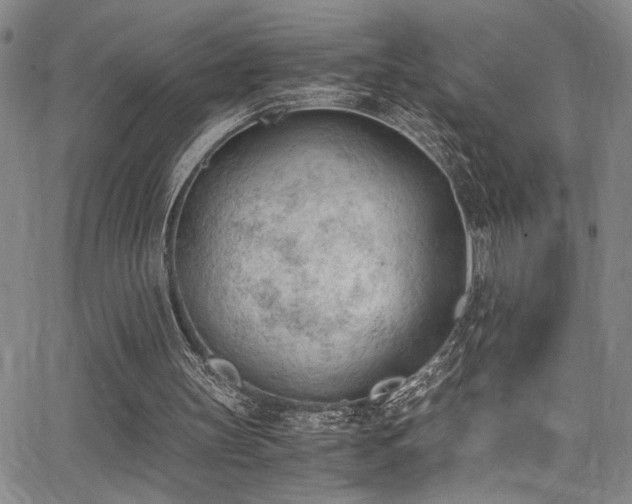 X0000062870147200601131450