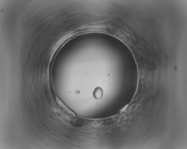 X0000062870148200601131450