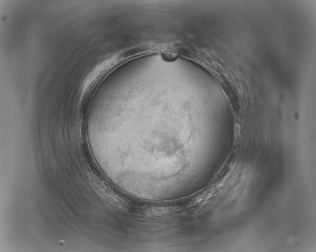 X0000062870149200601131450