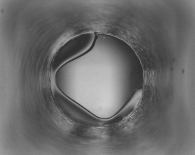 X0000062870150200601131450