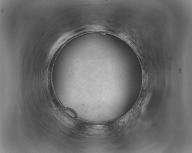 X0000062870151200601131450