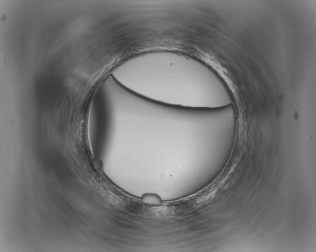 X0000062870153200601131450