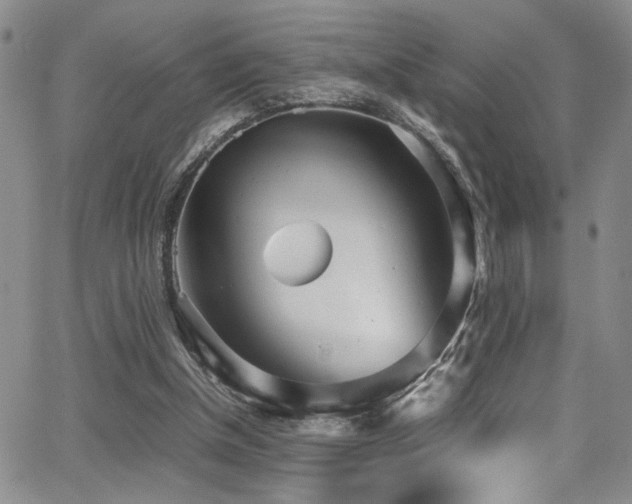 X0000062870154200601131450