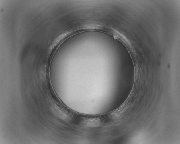 X0000062870155200601131450