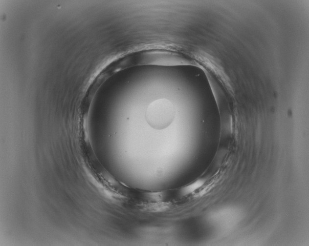 X0000062870156200601131450