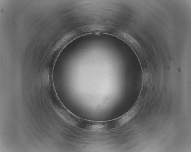 X0000062870158200601131450