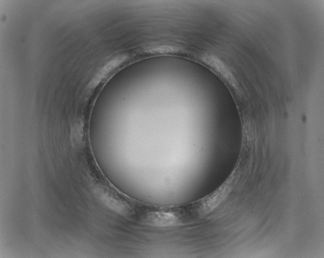 X0000062870159200601131450