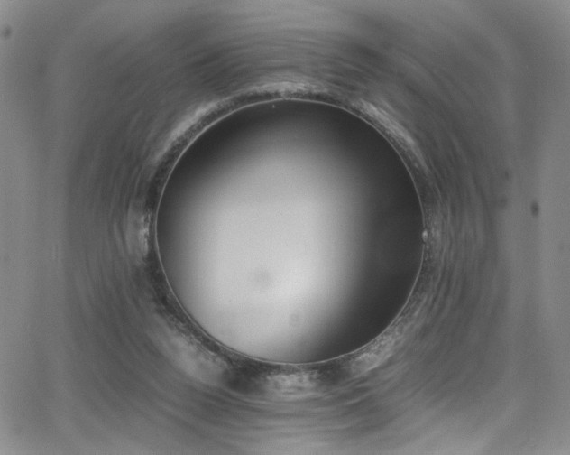 X0000062870160200601131450