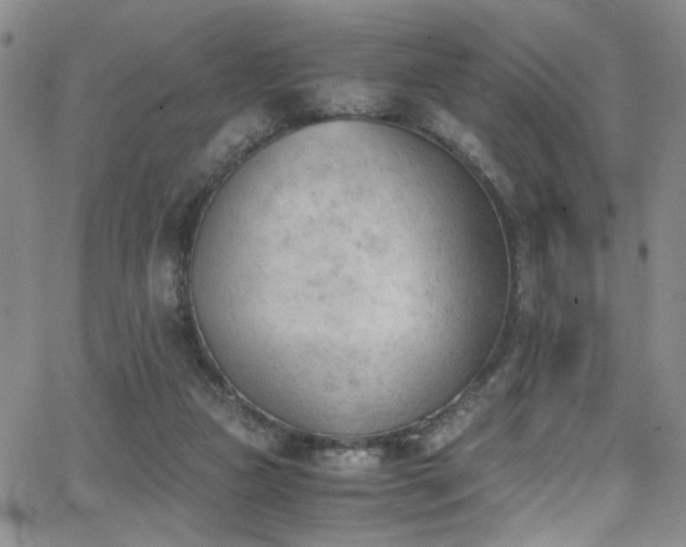 X0000062870161200601131450