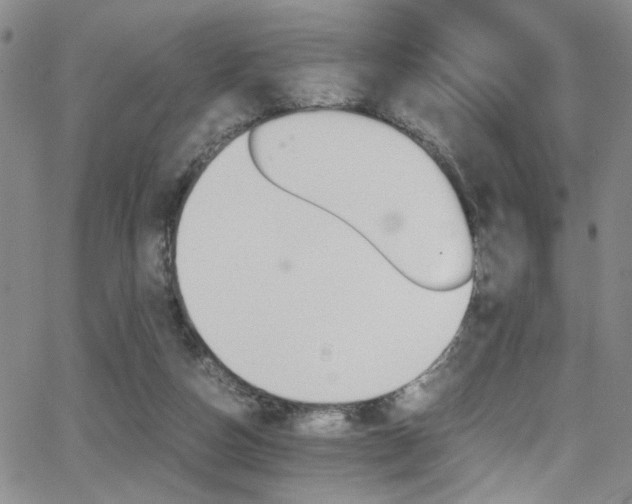 X0000062870162200601131450