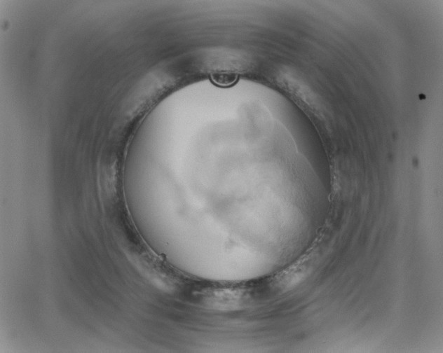 X0000062870163200601131450