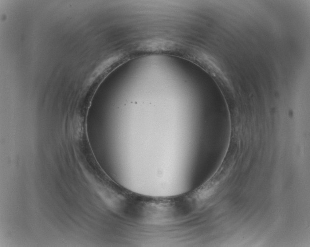 X0000062870164200601131450