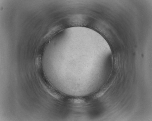 X0000062870165200601131450