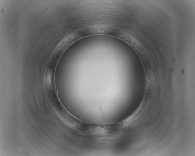 X0000062870166200601131450