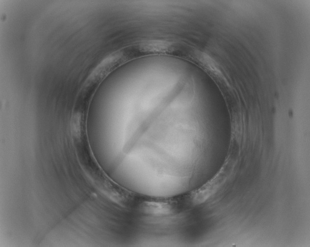 X0000062870167200601131450