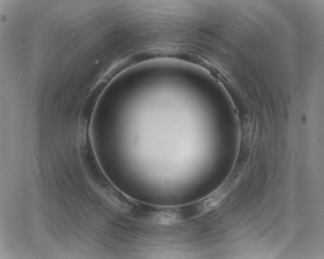 X0000062870168200601131450