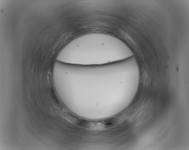 X0000062870169200601131450