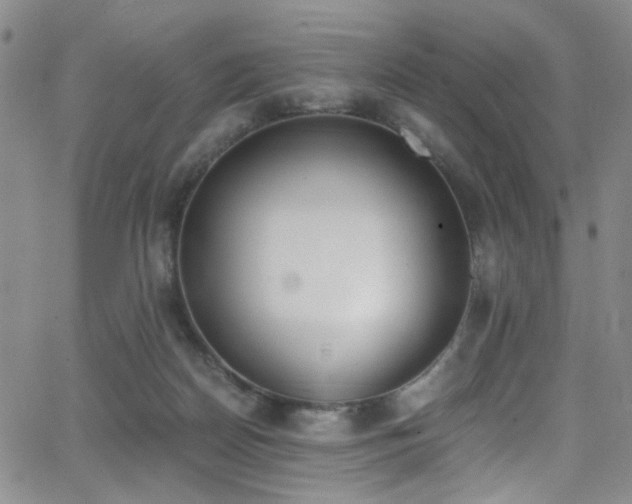 X0000062870170200601131450