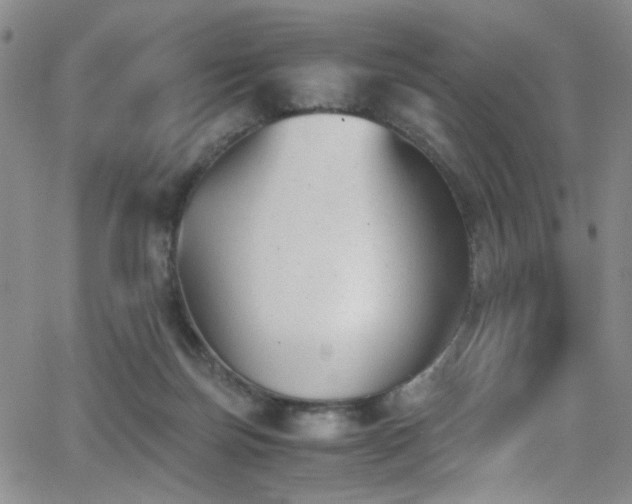 X0000062870171200601131450