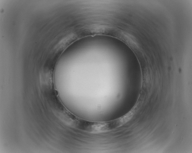 X0000062870172200601131450