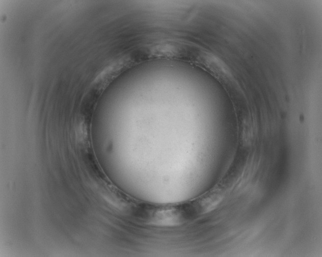 X0000062870173200601131450