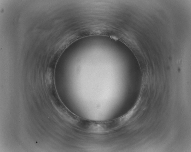 X0000062870174200601131450