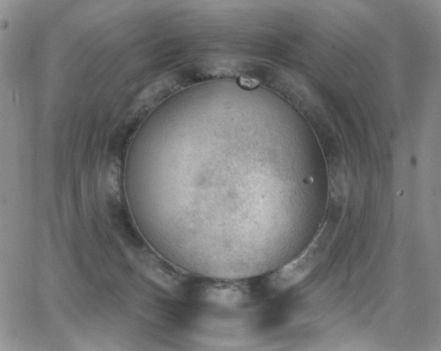 X0000062870175200601131450