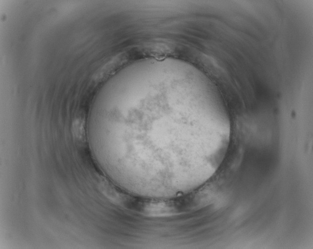 X0000062870177200601131450