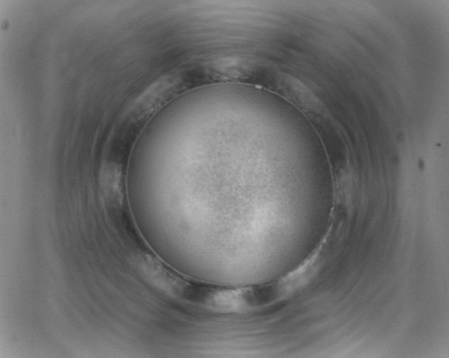 X0000062870178200601131450