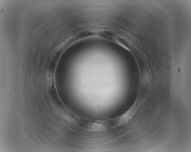 X0000062870180200601131451