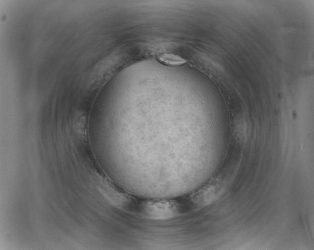 X0000062870181200601131451