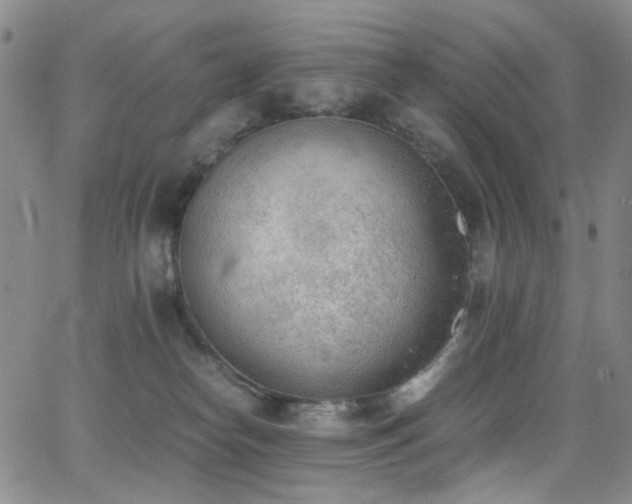 X0000062870182200601131451