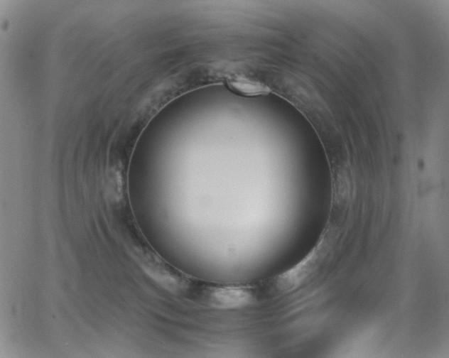 X0000062870183200601131451