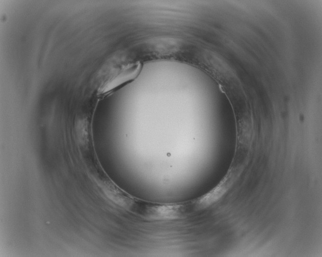 X0000062870184200601131451