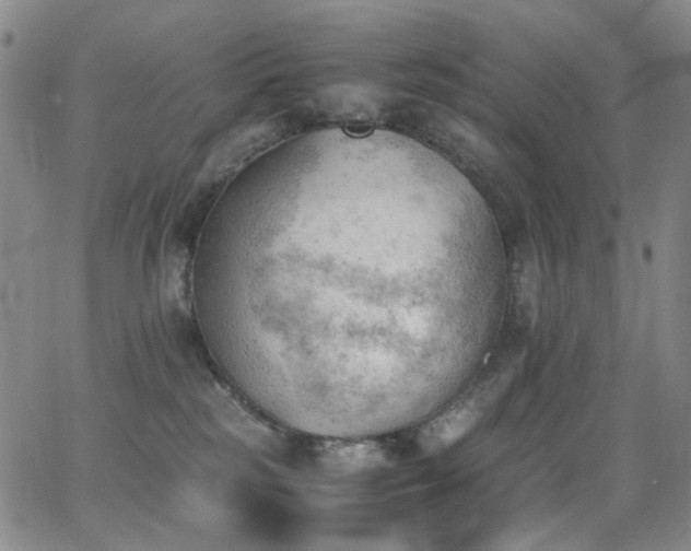 X0000062870185200601131451