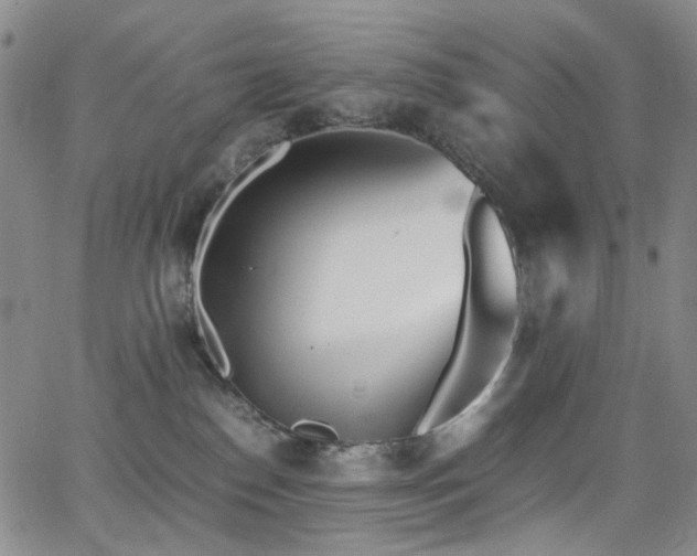 X0000062870186200601131451