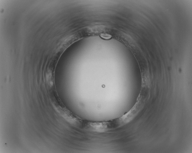 X0000062870187200601131451