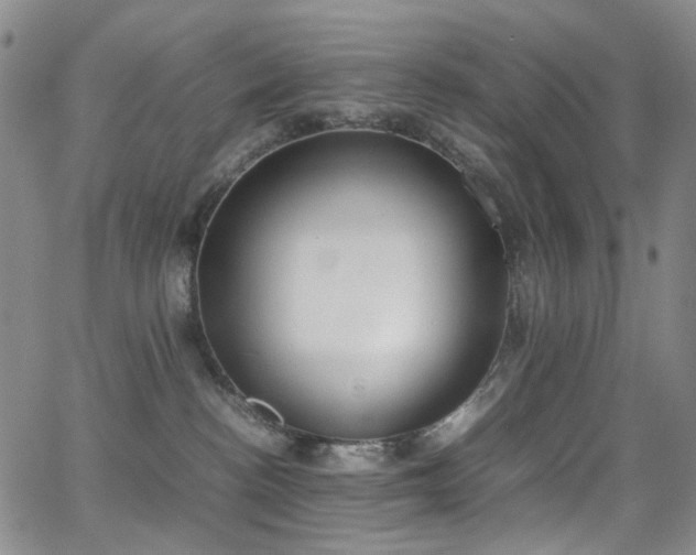 X0000062870188200601131451