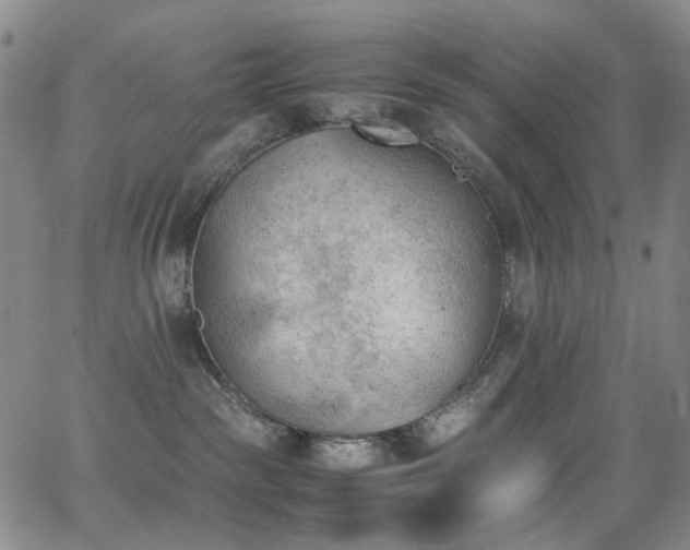 X0000062870189200601131451